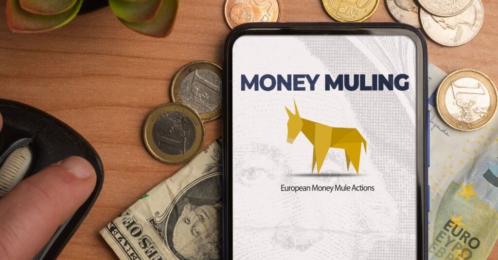 Preventing Accidental Money Mule Activities in Client Onboarding