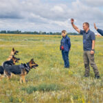 Enhanced data insights for address verification